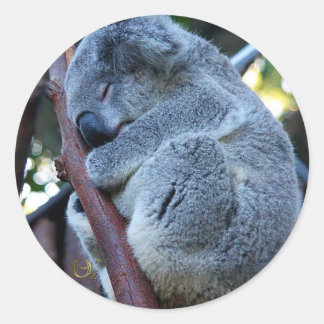 Süsse Pie Koala Runder Aufkleber