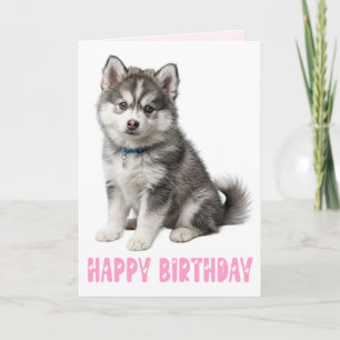 Süße Pomsky-Welpen-Hundliebhaber-Pink-Geburtstag Karte