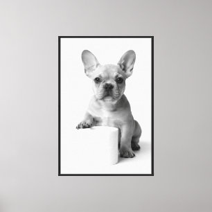 Süße Porträtkunst Französische Bulldogge Welpe Toi Leinwanddruck