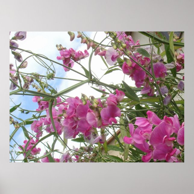 Süße Poster (Vorne)