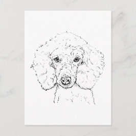 Süße Pudel-Hund-Illustration, handgezeichnet Postkarte