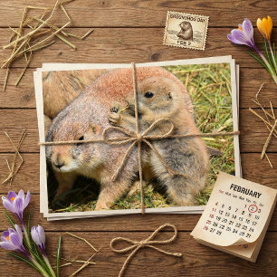 Süße realistische Foto einer Murmeltierfamilie Postkarte