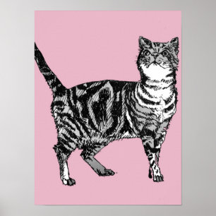Süße rosa gestreifte Tabby-Katze Katzen Poster Kun