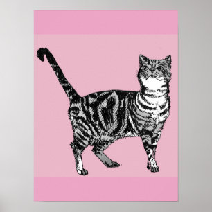 Süße rosa gestreifte Tabby-Katze Katzenposter-Kuns Poster