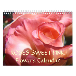 SÜSSE ROSEN Kalender ROSA ROSENBLÜTEN