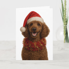 Süße rote / braune Poodle-Weihnachtskarte Karte