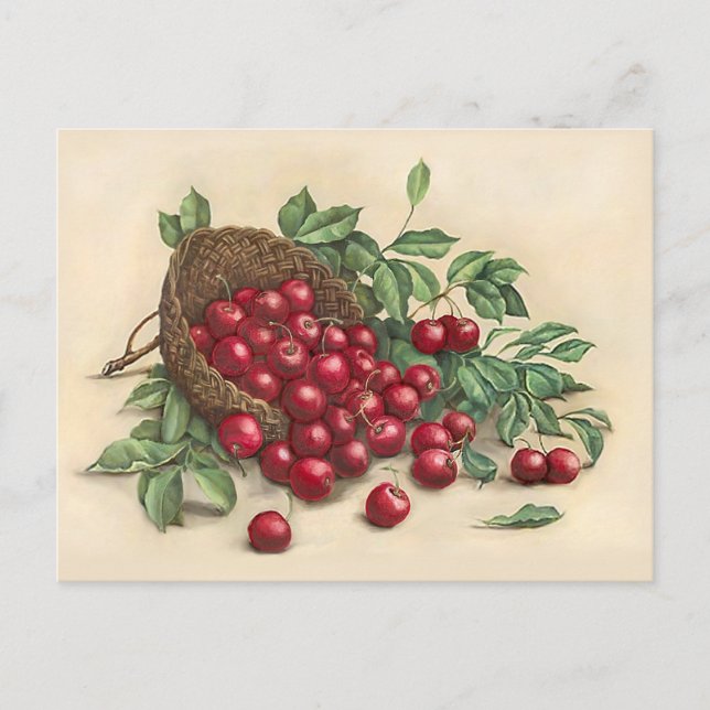 Süße rote Kirschen Postkarte (Vorderseite)