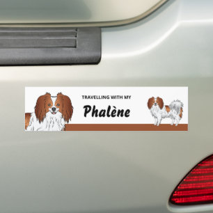 Süße rote und weiße Phalène-Hundbesitzerin Autoaufkleber