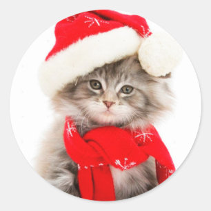 Süße Santa-Kitty-Klassik-Rundum-Sticker Runder Aufkleber