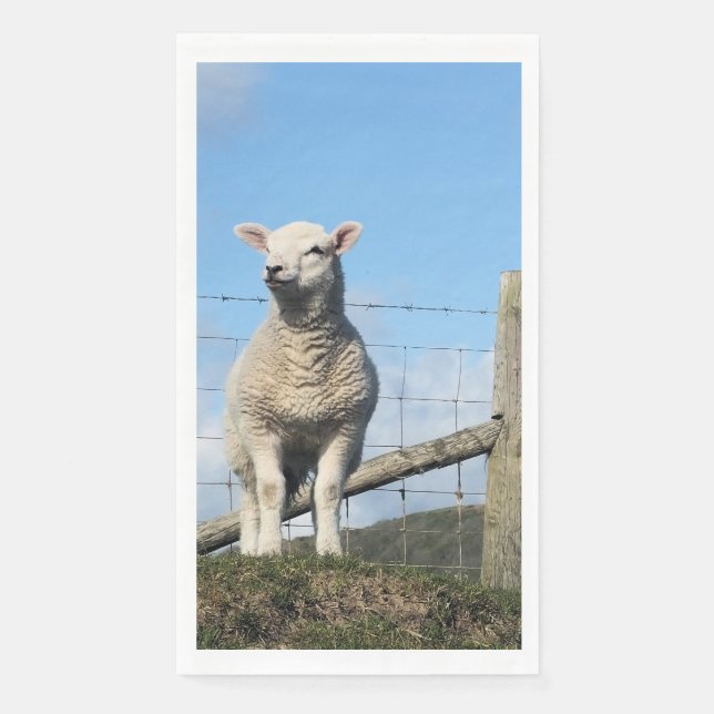 SÜSSE SCHAFE SERVIETTE (Vorderseite)