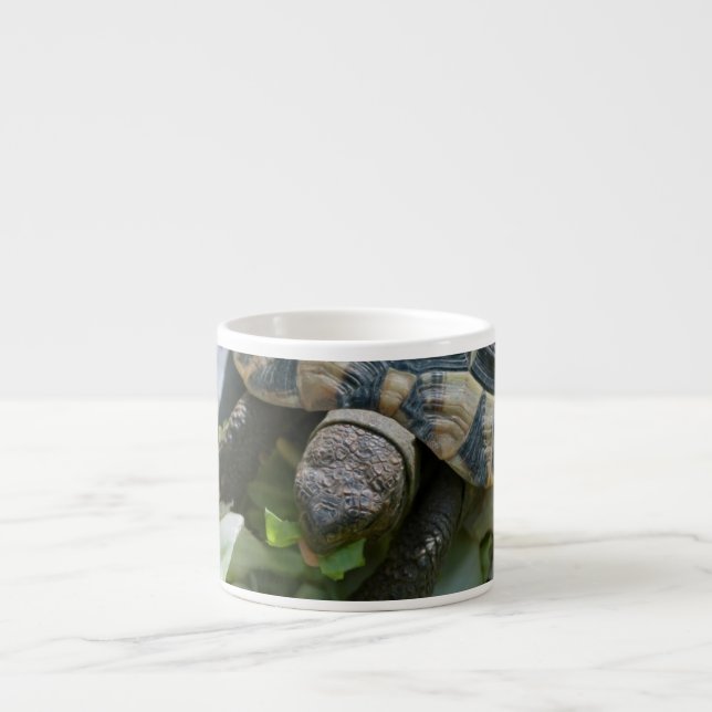 Süße Schildkröte Espressotasse (Vorderseite)