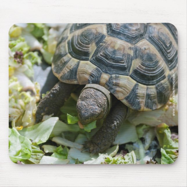 Süße Schildkröte Mousepad (Vorne)