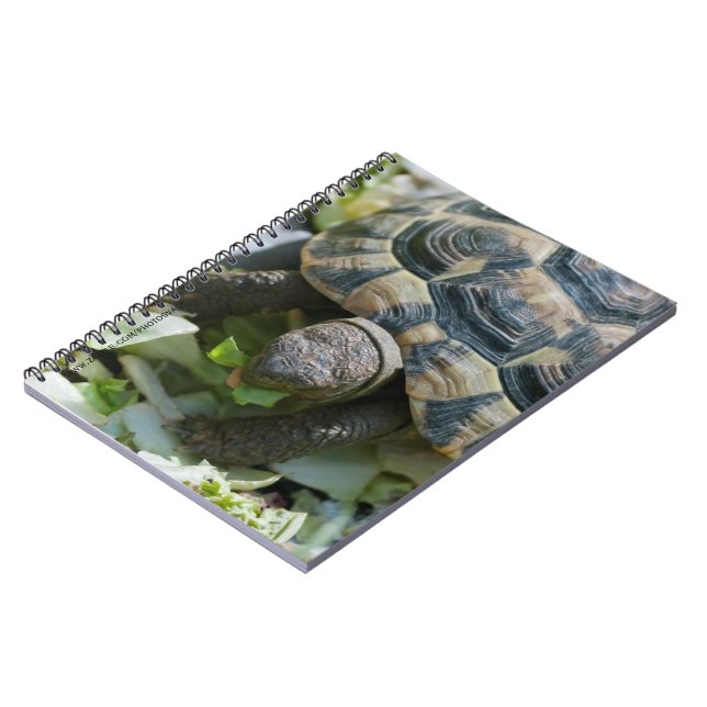 Süße Schildkröte Notizblock (Linke Seite)