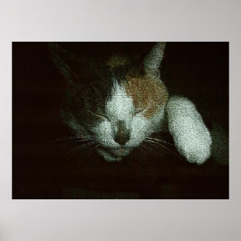 Süße schlafend auf einem Katzenbaum Poster