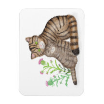 Süße schottische Wildkatze und Kätzchen-Magnet