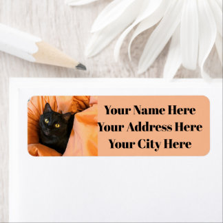 Süße schwarze Katze
