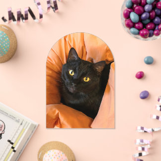 Süße schwarze Katze Acryleinladungen