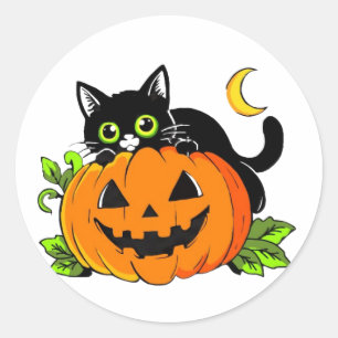 Süße schwarze Katze auf Halloween-Kürbis-Jack-O'-L Runder Aufkleber