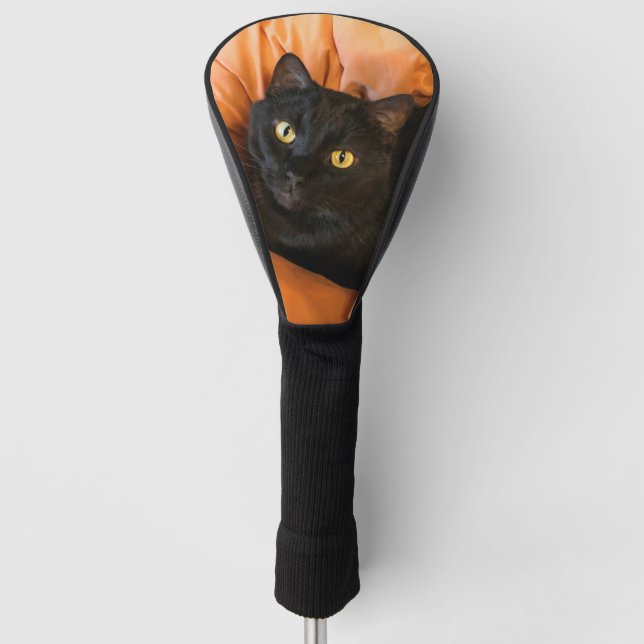 Süße schwarze Katze Golf Headcover (Vorderseite)