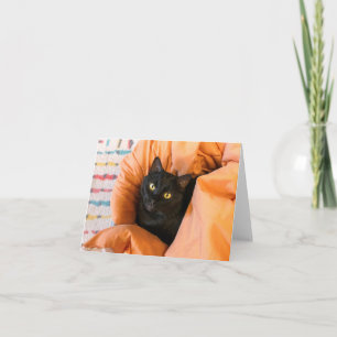 Süße schwarze Katze Karte