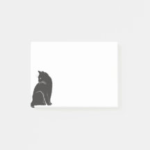 Süße schwarze Katze