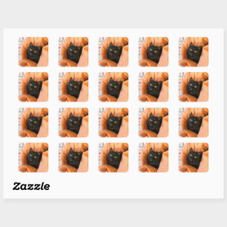 Süße schwarze Katze Quadratischer Aufkleber
