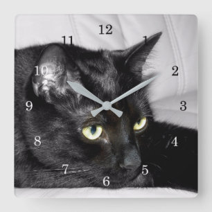 Süße schwarze Katzenporträt Quadratische Wanduhr