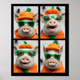 Süße Schweine mit Sonnenbrille Kürbiskostüm Lustig Poster
