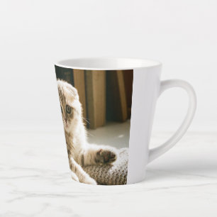 Süße Scottish Fold Katzen Tasse - Cozy Cat Lover K