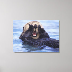 Süße Seeotter Alaska, USA Leinwanddruck