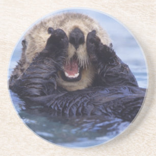 Süße Seeotter Alaska, USA Untersetzer
