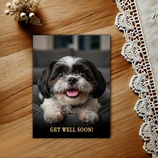 Süße Shih Tzu Gute Besserung Postkarte (Von Creator hochgeladen)