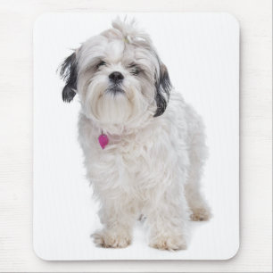 Süße Shih Tzu Weiße Hündin Mutter Liebe Mousepad