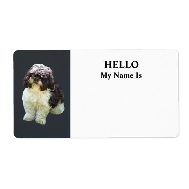 Süße Shih Tzu-Welpen (Vorne)