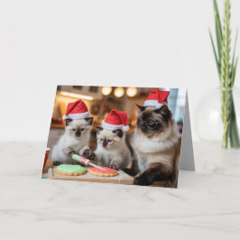 Süße siamesische Katze Weihnachtsplätzchenkarte Karte