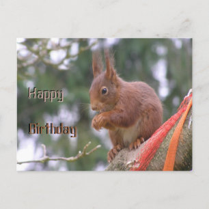 Süße sitzende Eichhörnchen-Happy-Birthday-Postkart Postkarte