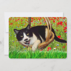 Süße Smoking-Schwarze-Katze-Karte