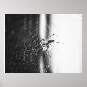 Süße Spinne verworrene Verflechtung   Geschenk für Poster