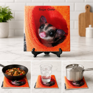 Süße Sugar Glider Orange Schlafsack Heimtier-Dekor Fliese