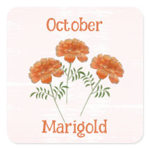 Süße Tagetes-Blumen Oktober