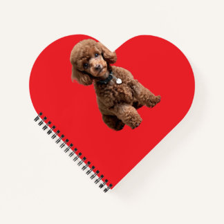 Süße Teacup-Poodle-Rotmappe Notizbuch