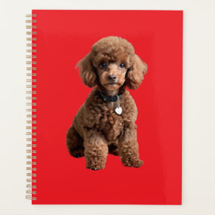  Süße Teacup-Poodle-Rotmappe Planer