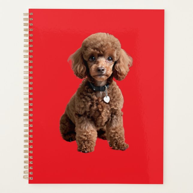  Süße Teacup-Poodle-Rotmappe Planer (Vorderseite)
