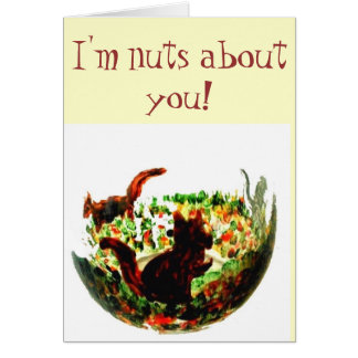 Süße Tier Art Herbst Eichhörnchen