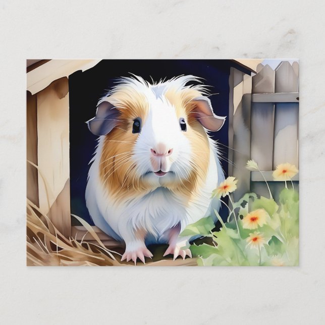 Süße Tier Guinea Pig Postkarte (Vorderseite)