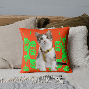 Süße Tier Hauskatze Cool Limon und orange modern Kissen