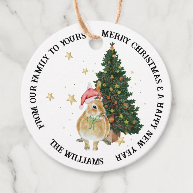 Süße Tier Illustrationen Frohe Weihnachtsgeschenk Geschenkanhänger (Vorderseite)