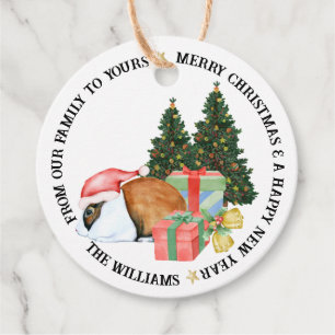 Süße Tier Illustrationen Frohe Weihnachtsgeschenk Geschenkanhänger