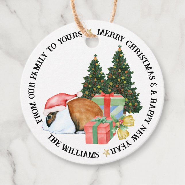 Süße Tier Illustrationen Frohe Weihnachtsgeschenk Geschenkanhänger (Vorderseite)