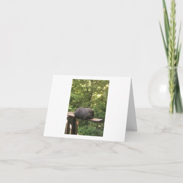 Süße Tier-Karte für jemanden, den Sie interessiere Karte (Vorderseite)